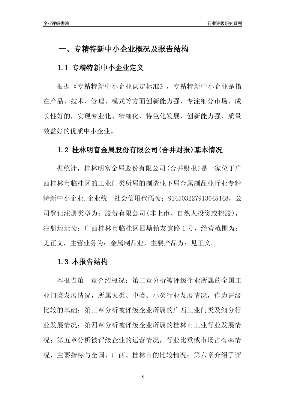 [专精特新]桂林明富金属股份有限公司(合并财报)行业竞争力评级分析报告(2023版)_第3页