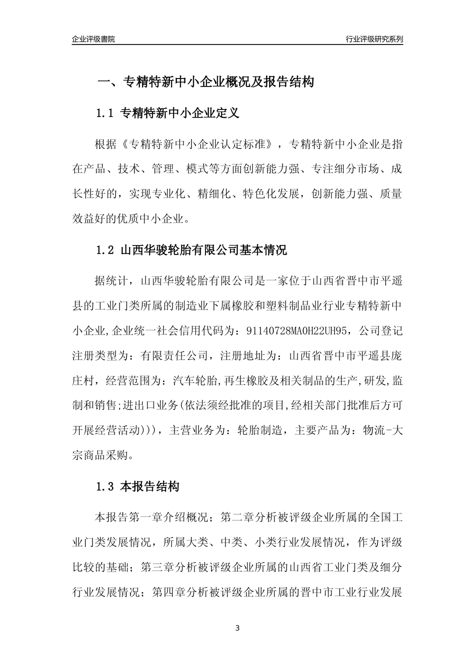 [专精特新]山西华骏轮胎有限公司行业竞争力评级分析报告(2023版)_第3页