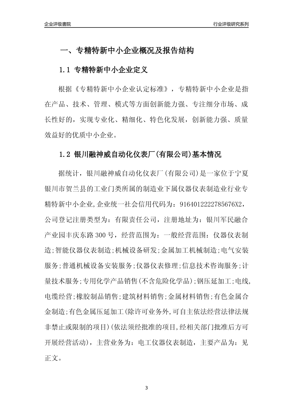 [专精特新]银川融神威自动化仪表厂(有限公司)行业竞争力评级分析报告(2023版)_第3页