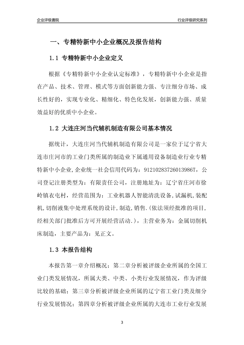 [专精特新]大连庄河当代辅机制造有限公司行业竞争力评级分析报告(2023版)_第3页