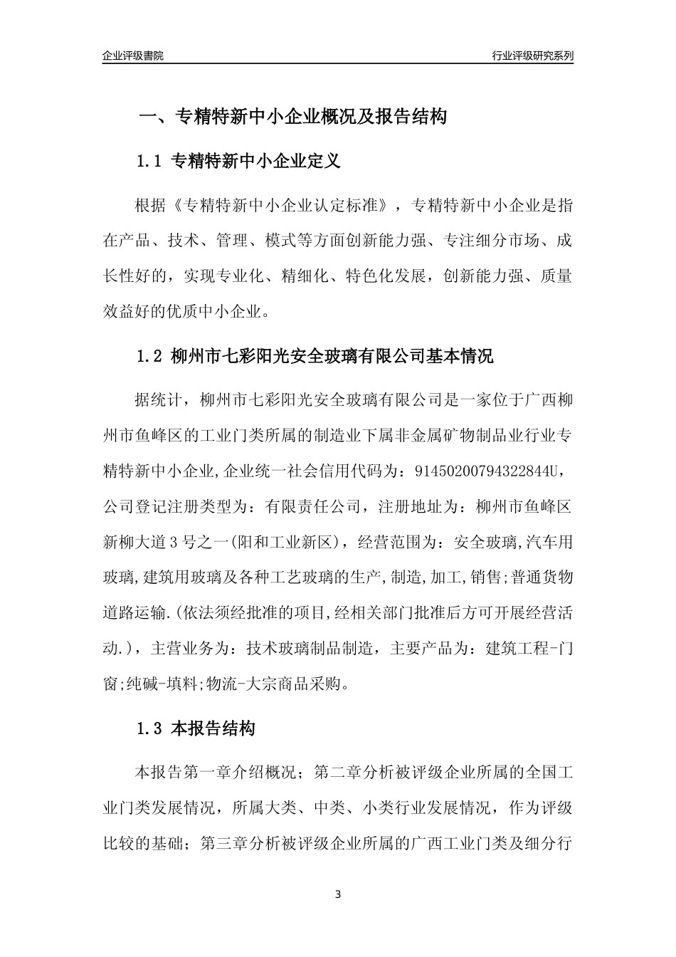 [专精特新]柳州市七彩阳光安全玻璃有限公司行业竞争力评级分析报告(2023版)_第3页