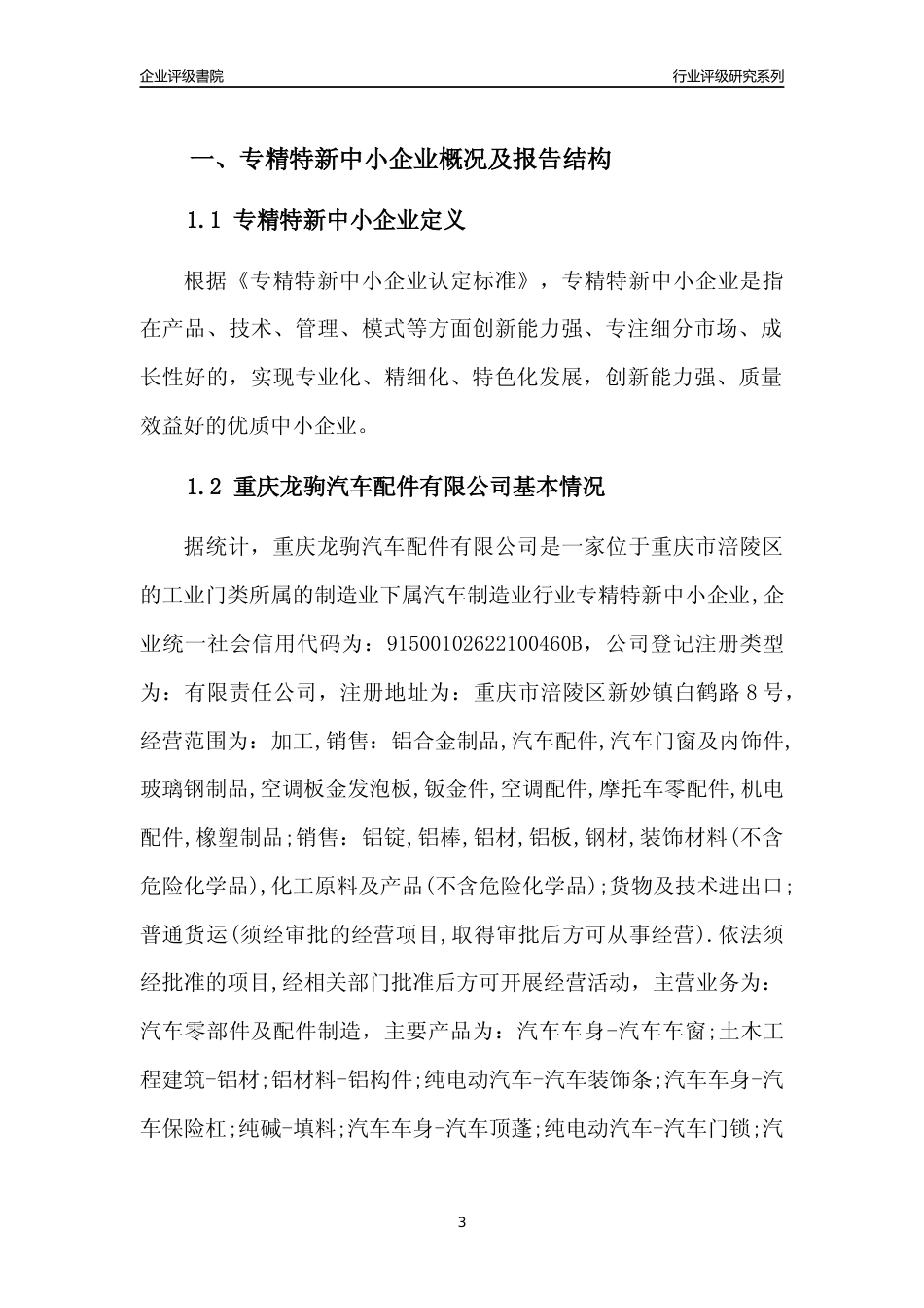 [专精特新]重庆龙驹汽车配件有限公司行业竞争力评级分析报告(2023版)_第3页