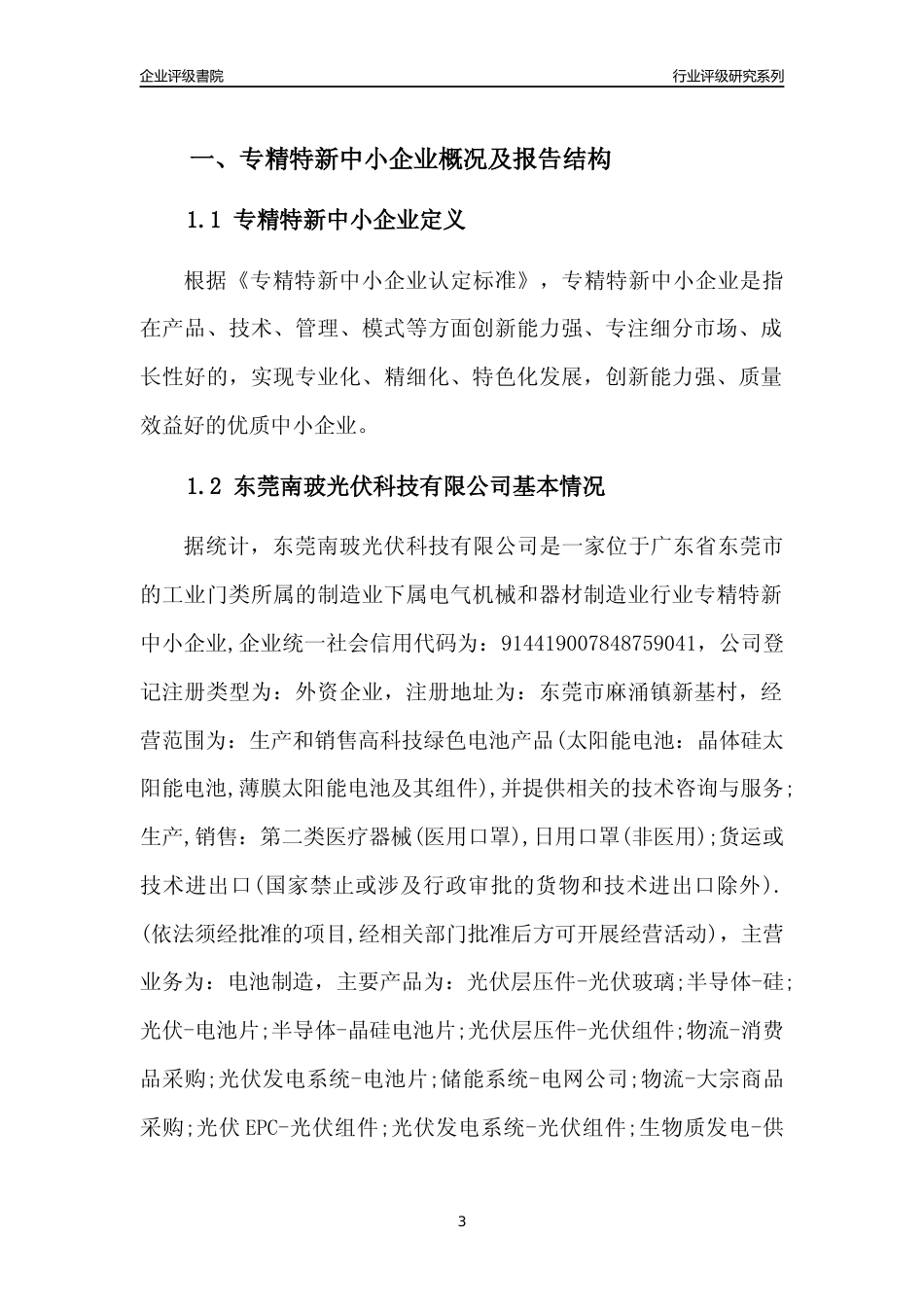 [专精特新]东莞南玻光伏科技有限公司行业竞争力评级分析报告(2023版)_第3页
