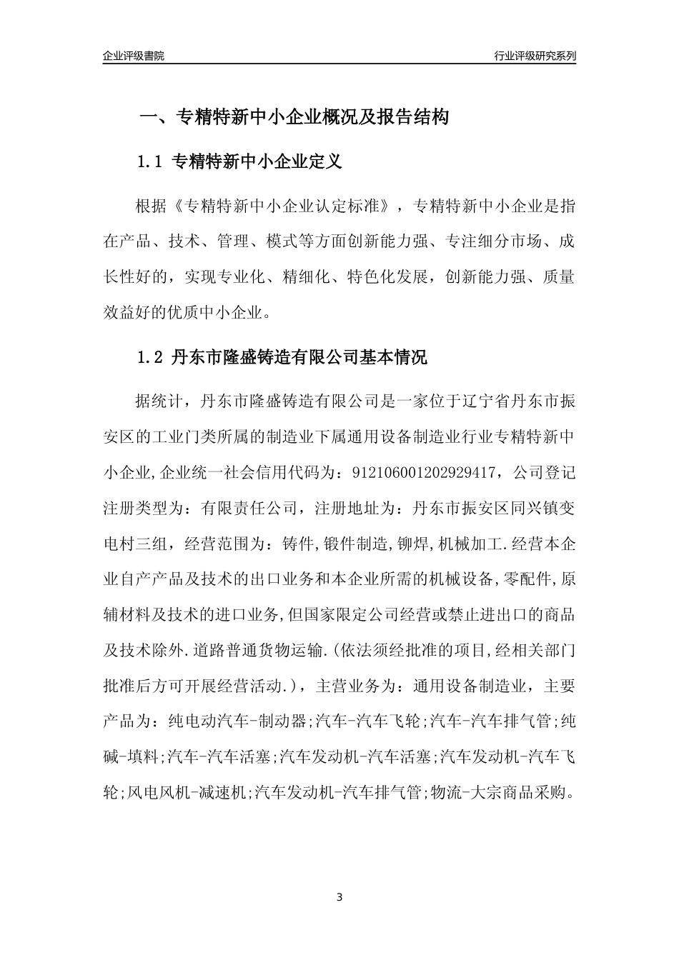 [专精特新]丹东市隆盛铸造有限公司行业竞争力评级分析报告(2023版)_第3页