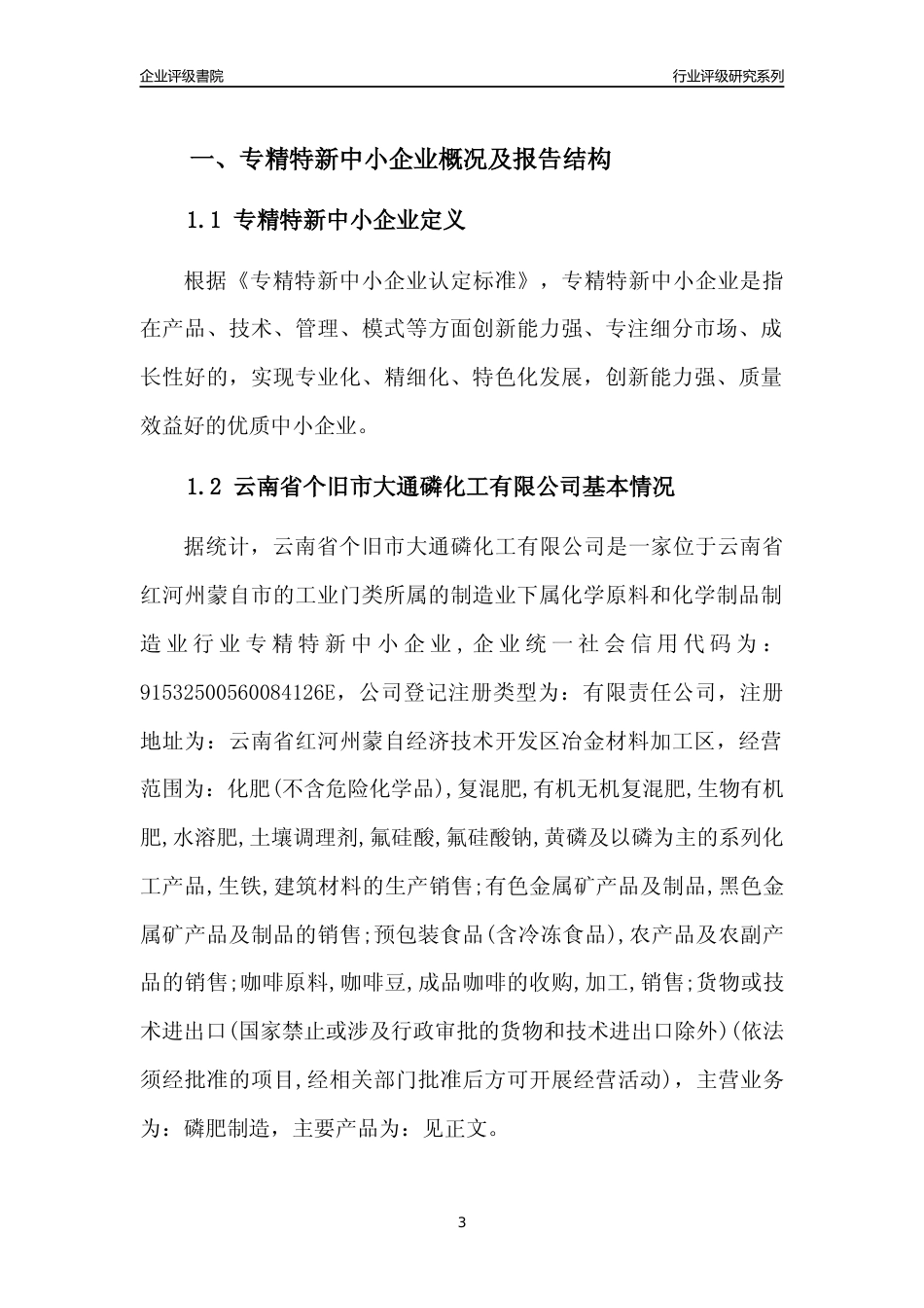 [专精特新]云南省个旧市大通磷化工有限公司行业竞争力评级分析报告(2023版)_第3页