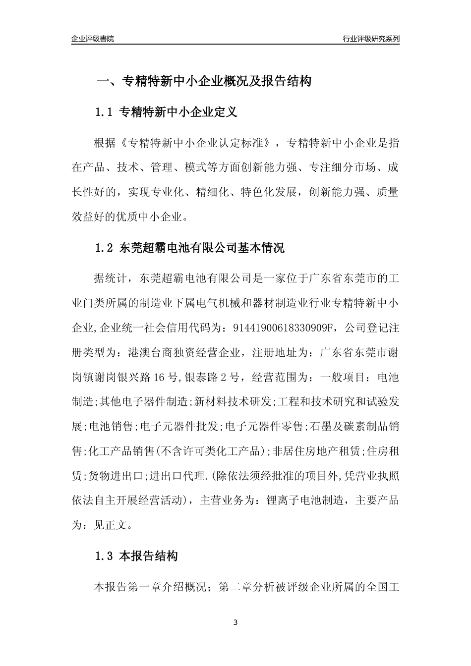 [专精特新]东莞超霸电池有限公司行业竞争力评级分析报告(2023版)_第3页