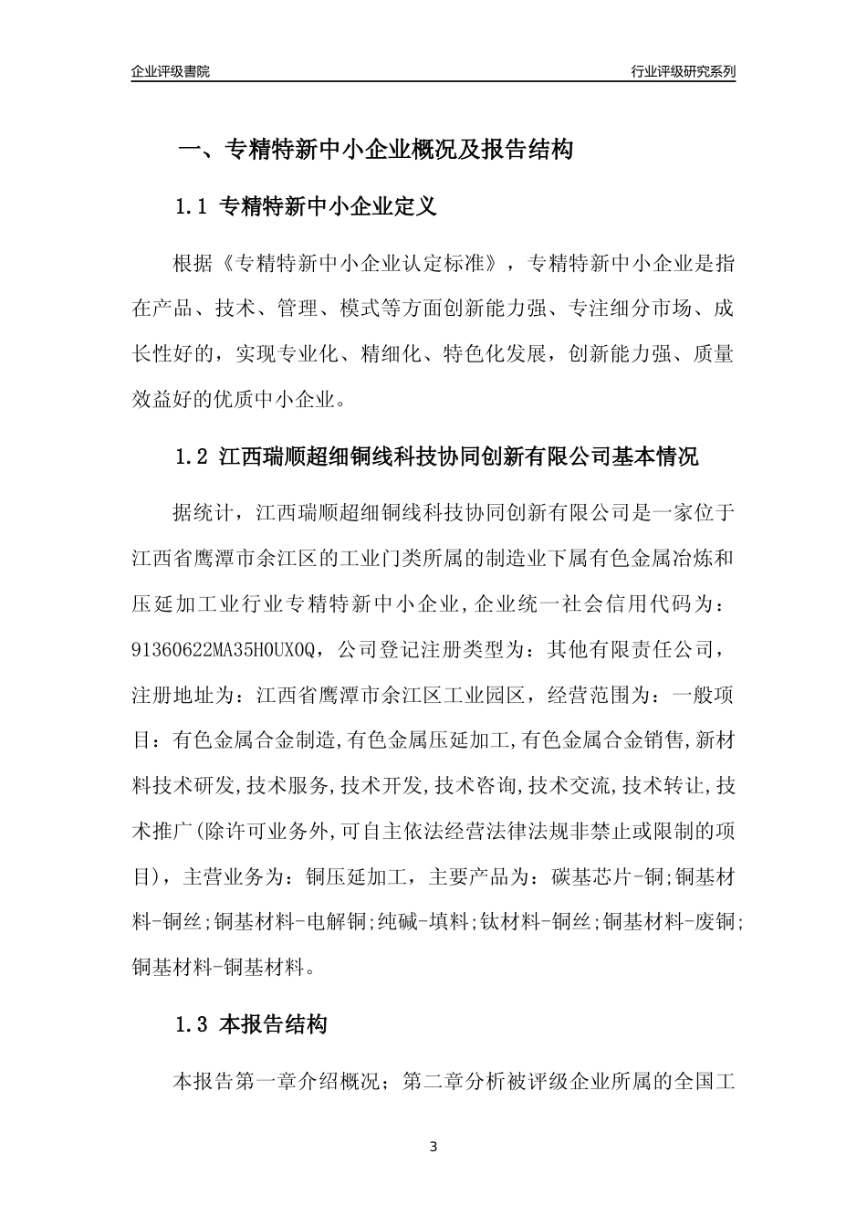[专精特新]江西瑞顺超细铜线科技协同创新有限公司行业竞争力评级分析报告(2023版)_第3页