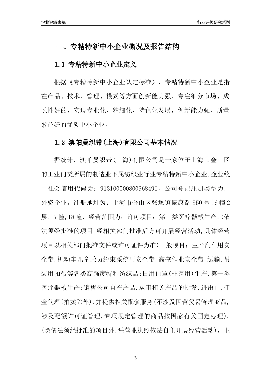 [专精特新]澳帕曼织带(上海)有限公司行业竞争力评级分析报告(2023版)_第3页