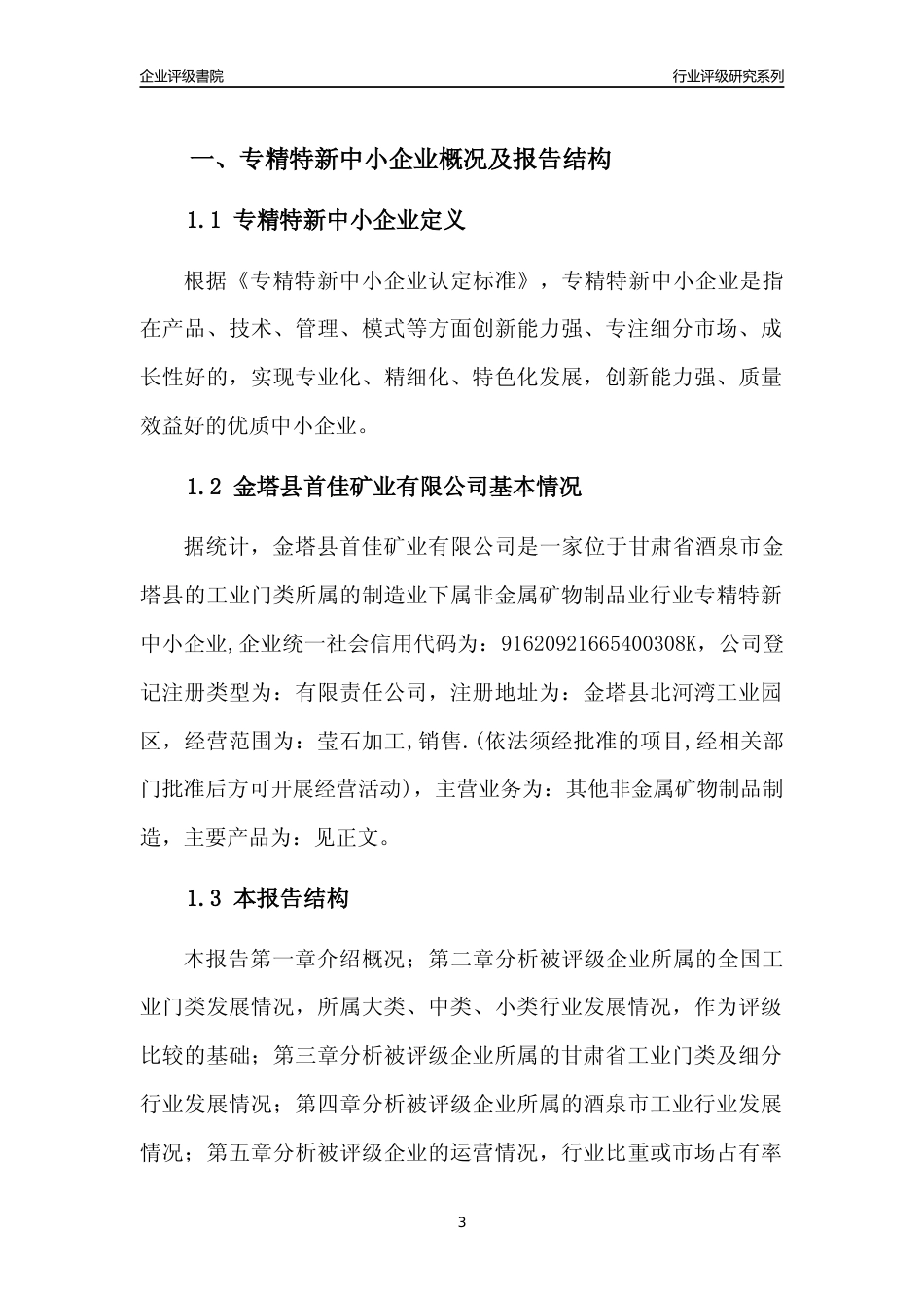 [专精特新]金塔县首佳矿业有限公司行业竞争力评级分析报告(2023版)_第3页