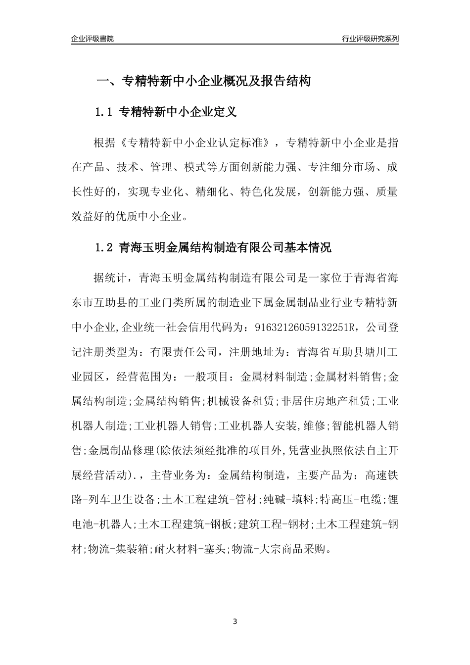 [专精特新]青海玉明金属结构制造有限公司行业竞争力评级分析报告(2023版)_第3页