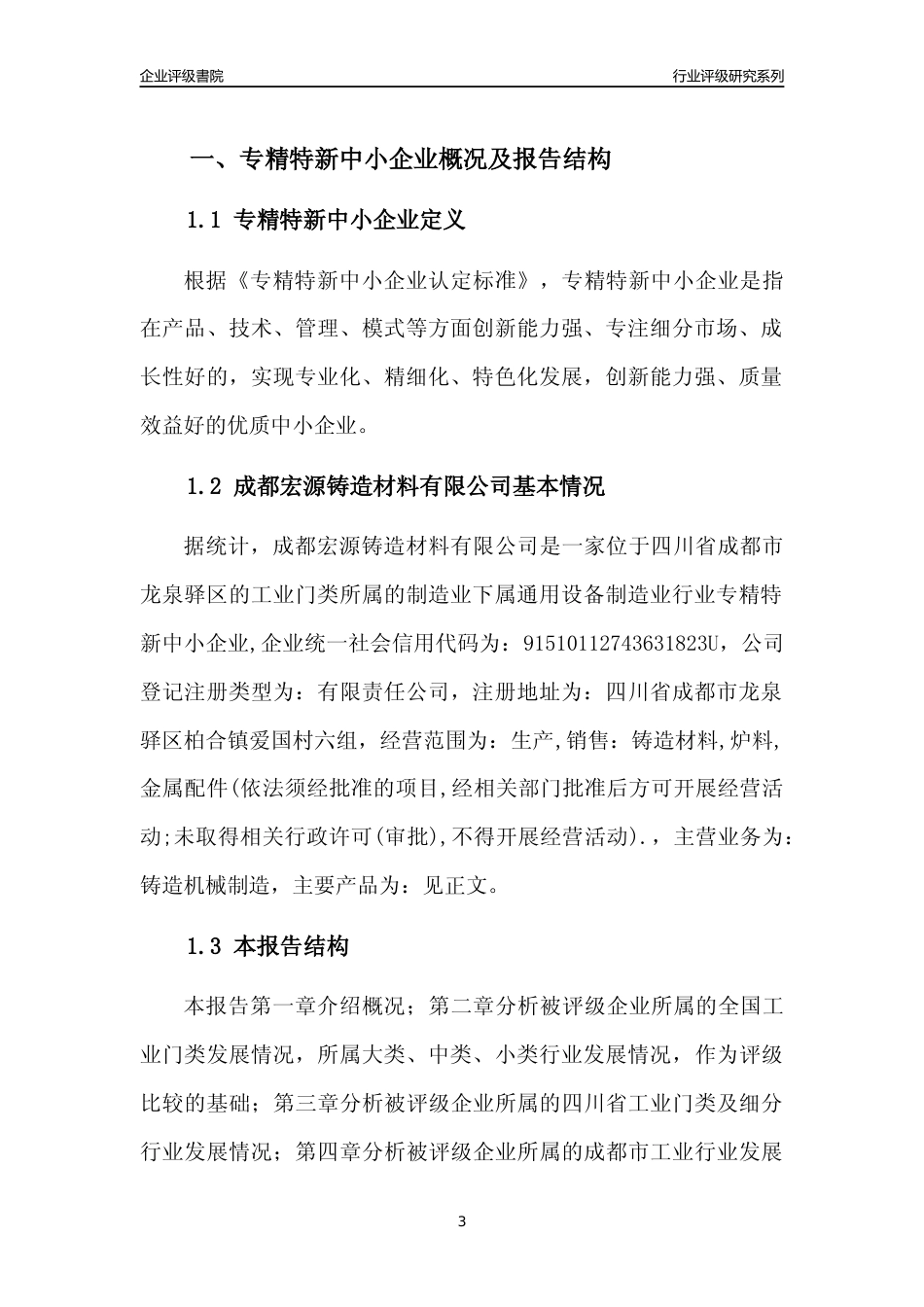 [专精特新]成都宏源铸造材料有限公司行业竞争力评级分析报告(2023版)_第3页