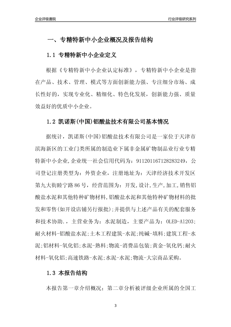 [专精特新]凯诺斯(中国)铝酸盐技术有限公司行业竞争力评级分析报告(2023版)_第3页