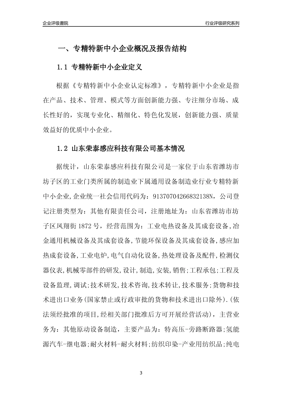 [专精特新]山东荣泰感应科技有限公司行业竞争力评级分析报告(2023版)_第3页