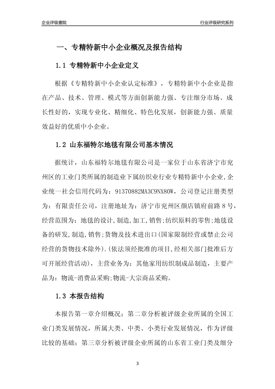[专精特新]山东福特尔地毯有限公司行业竞争力评级分析报告(2023版)_第3页