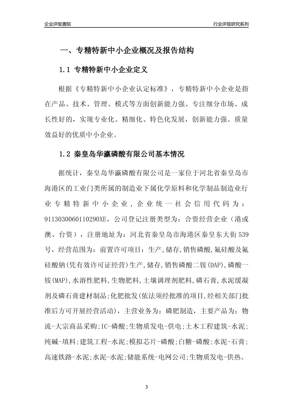 [专精特新]秦皇岛华瀛磷酸有限公司行业竞争力评级分析报告(2023版)_第3页