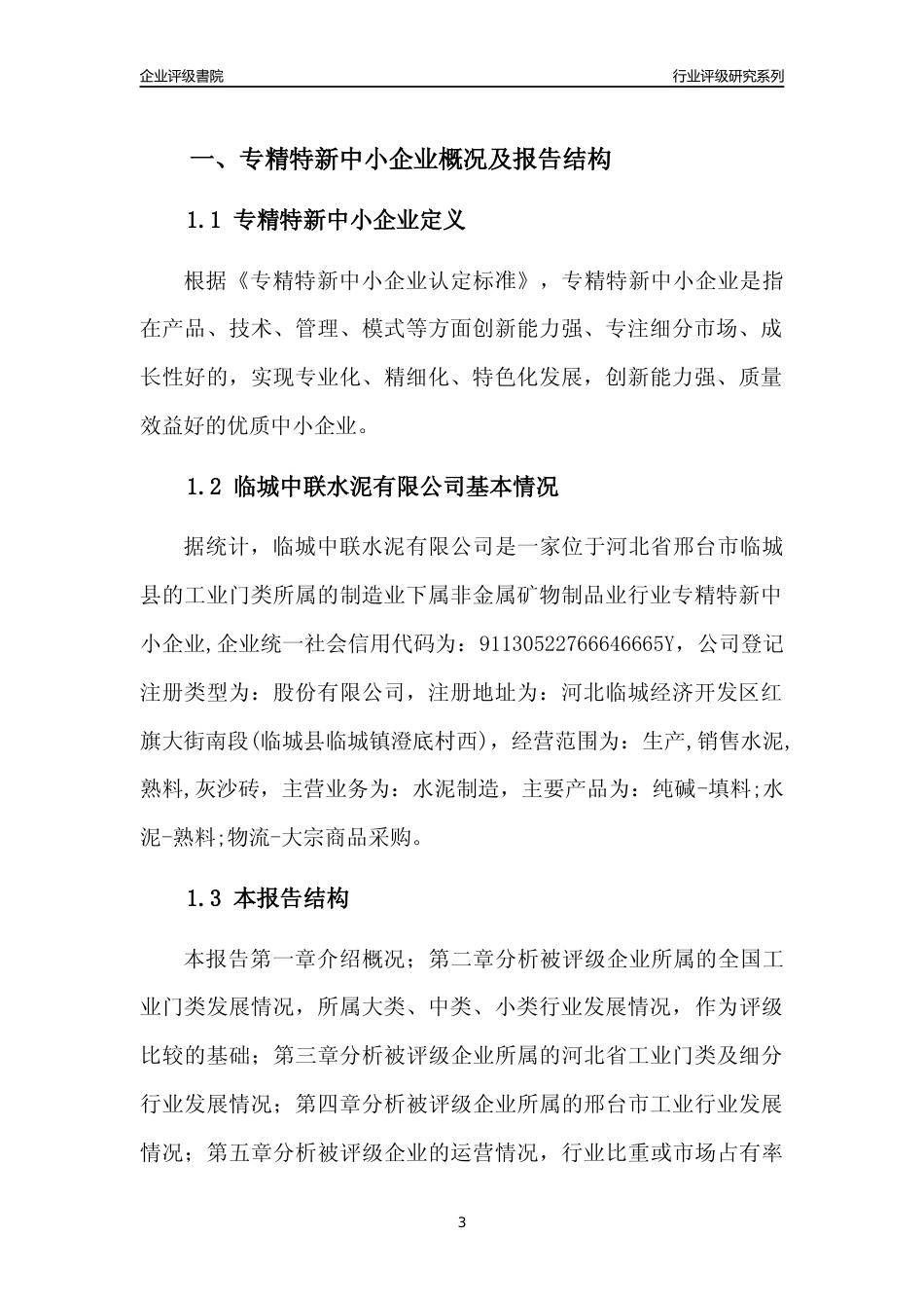 [专精特新]临城中联水泥有限公司行业竞争力评级分析报告(2023版)_第3页