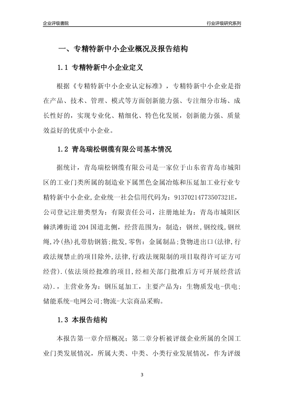 [专精特新]青岛瑞松钢缆有限公司行业竞争力评级分析报告(2023版)_第3页