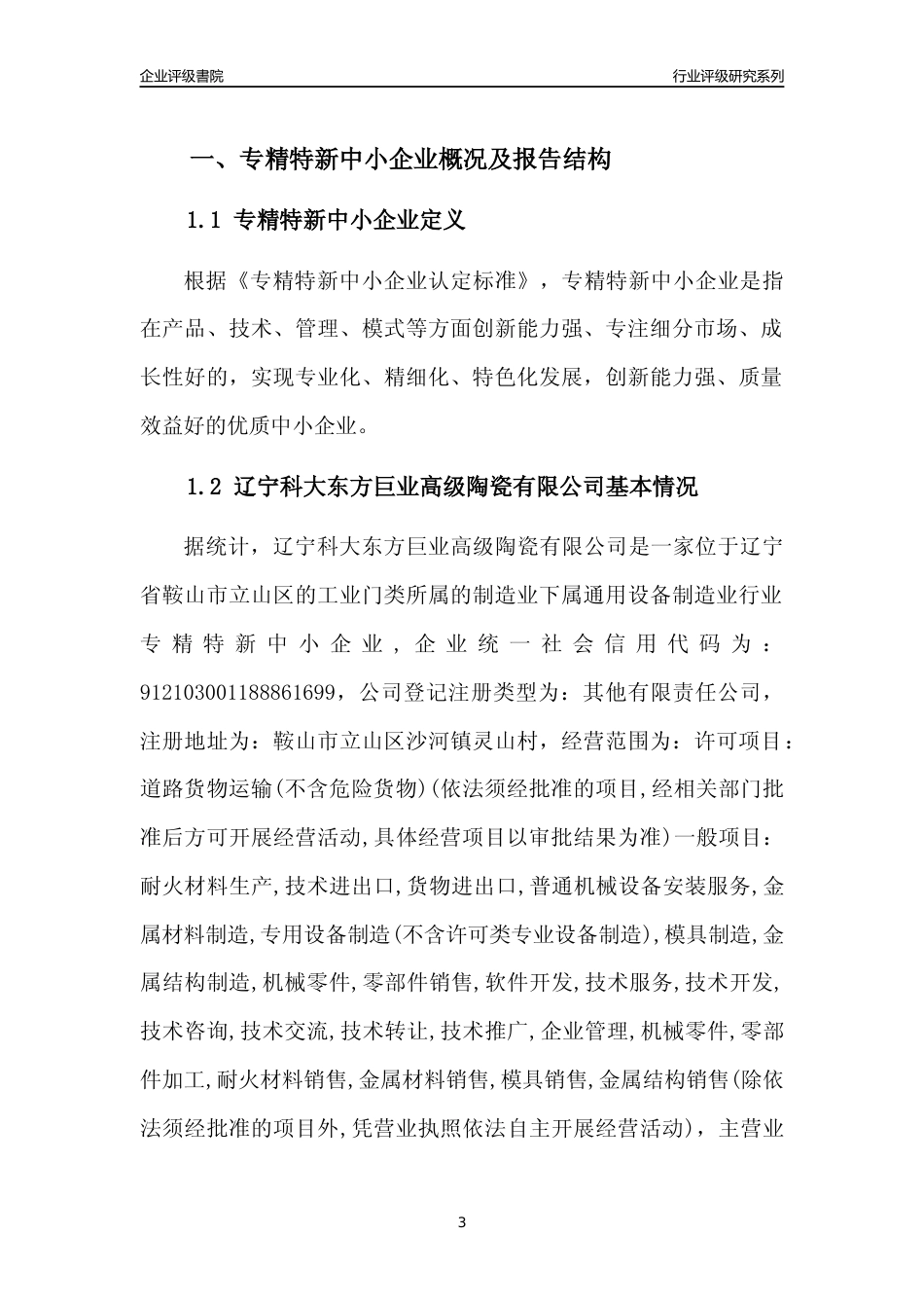 [专精特新]辽宁科大东方巨业高级陶瓷有限公司行业竞争力评级分析报告(2023版)_第3页