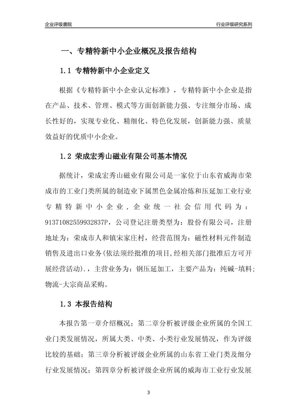[专精特新]荣成宏秀山磁业有限公司行业竞争力评级分析报告(2023版)_第3页