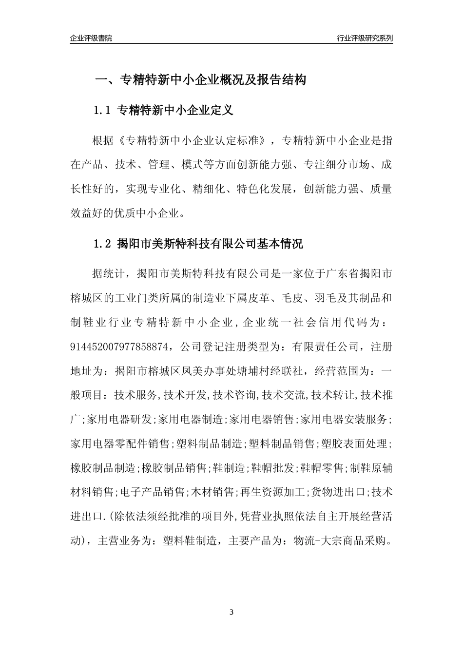 [专精特新]揭阳市美斯特科技有限公司行业竞争力评级分析报告(2023版)_第3页