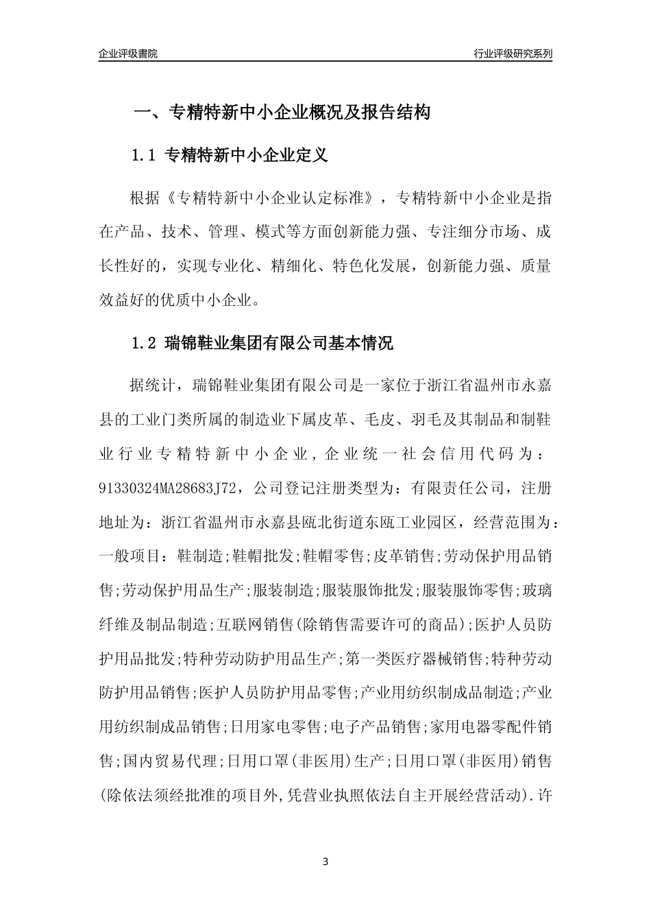 [专精特新]瑞锦鞋业集团有限公司行业竞争力评级分析报告(2023版)_第3页