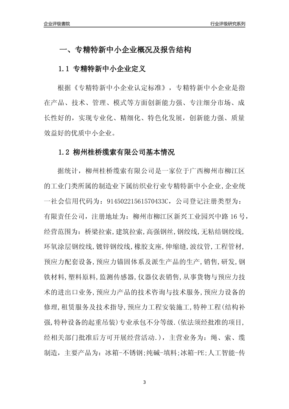 [专精特新]柳州桂桥缆索有限公司行业竞争力评级分析报告(2023版)_第3页