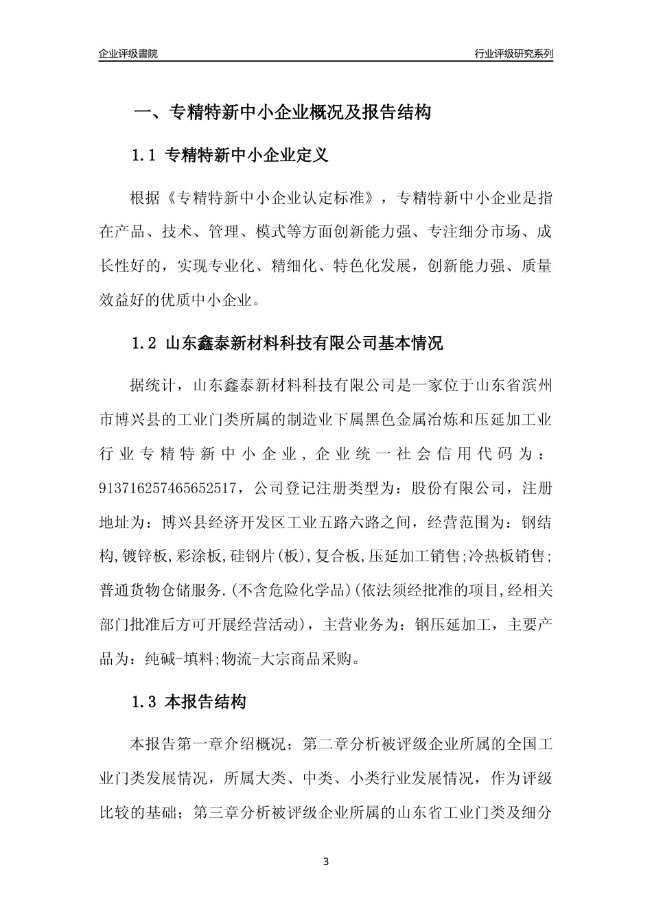 [专精特新]山东鑫泰新材料科技有限公司行业竞争力评级分析报告(2023版)_第3页