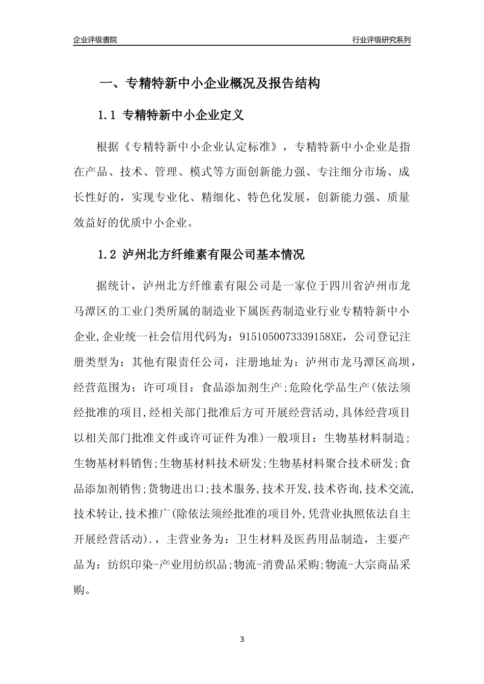[专精特新]泸州北方纤维素有限公司行业竞争力评级分析报告(2023版)_第3页