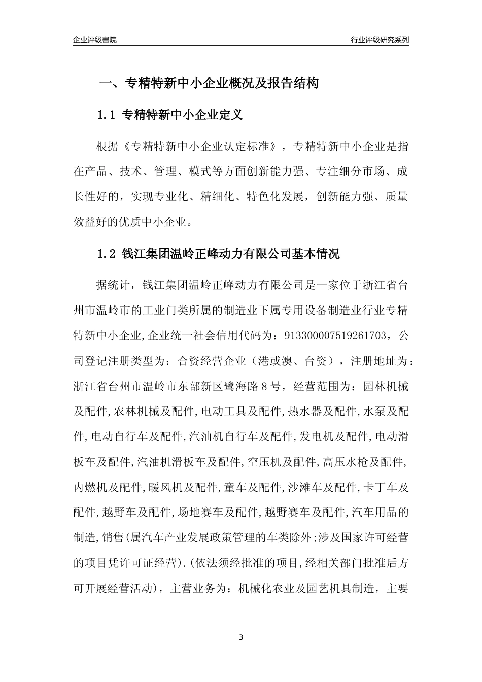 [专精特新]钱江集团温岭正峰动力有限公司行业竞争力评级分析报告(2023版)_第3页