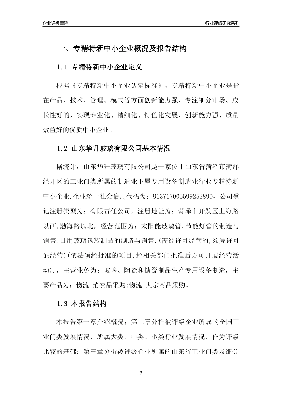 [专精特新]山东华升玻璃有限公司行业竞争力评级分析报告(2023版)_第3页