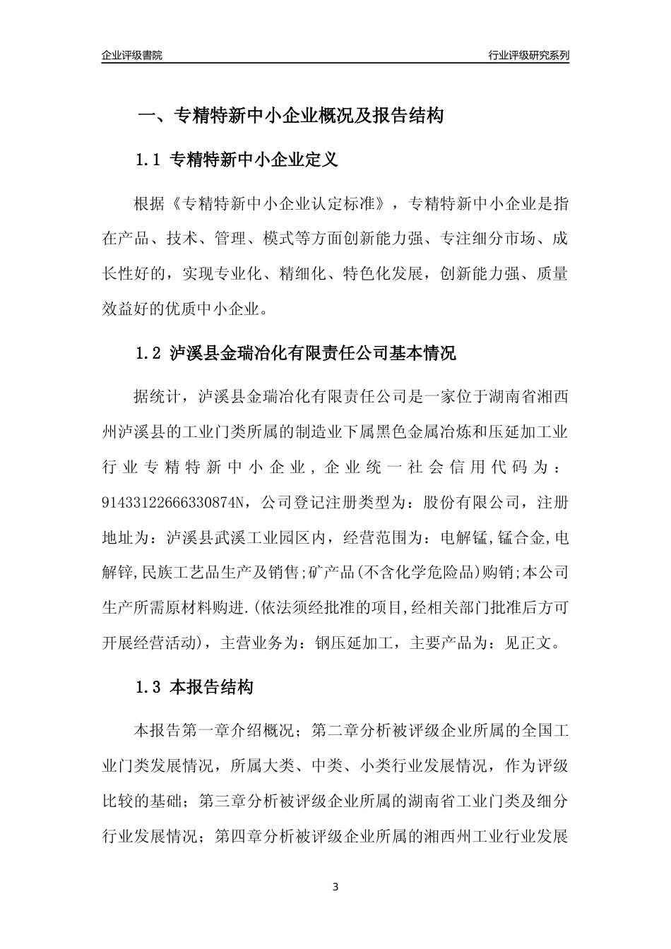 [专精特新]泸溪县金瑞冶化有限责任公司行业竞争力评级分析报告(2023版)_第3页