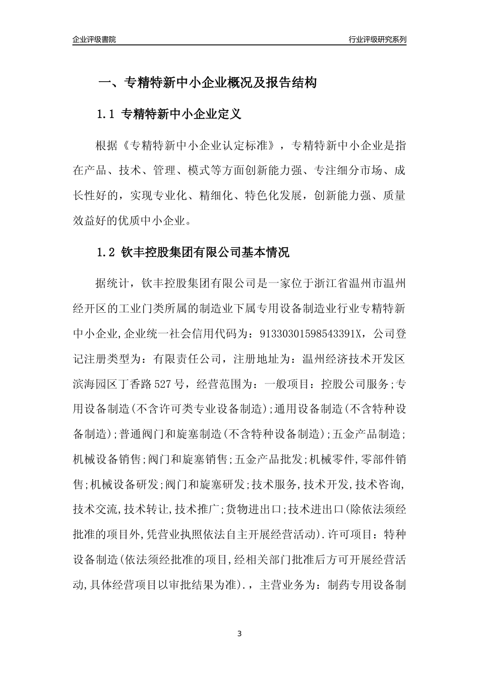 [专精特新]钦丰控股集团有限公司行业竞争力评级分析报告(2023版)_第3页