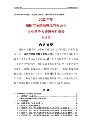 [专精特新]揭阳市圣路保鞋业有限公司行业竞争力评级分析报告(2023版)