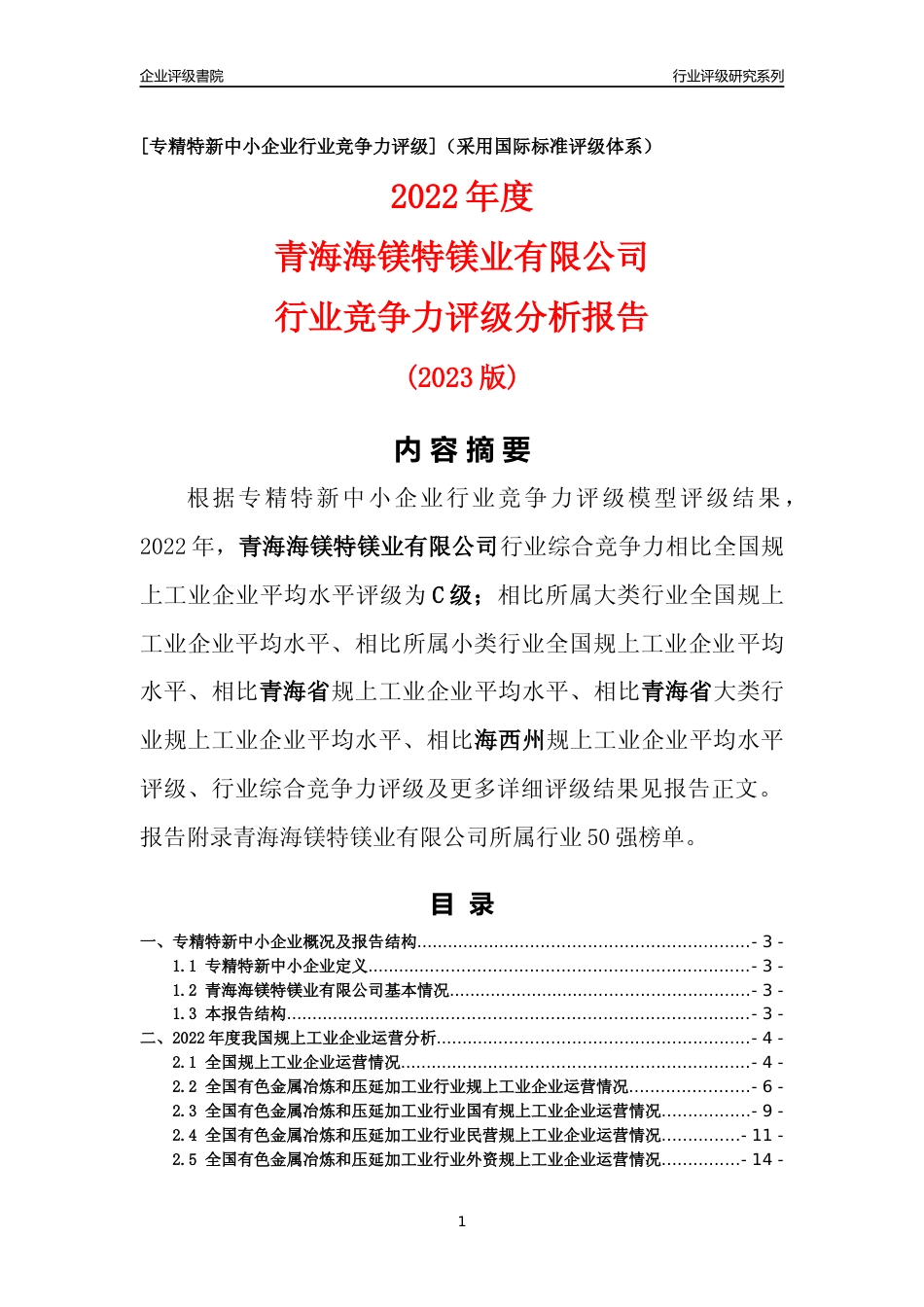 [专精特新]青海海镁特镁业有限公司行业竞争力评级分析报告(2023版)_第1页