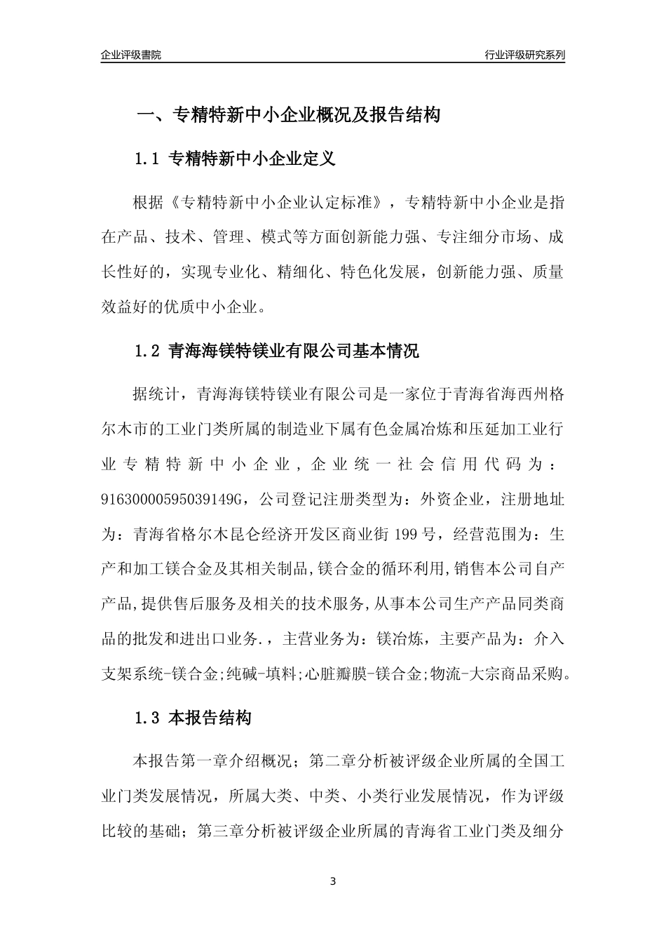 [专精特新]青海海镁特镁业有限公司行业竞争力评级分析报告(2023版)_第3页