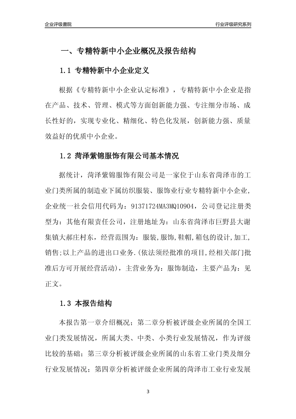 [专精特新]菏泽紫锦服饰有限公司行业竞争力评级分析报告(2023版)_第3页