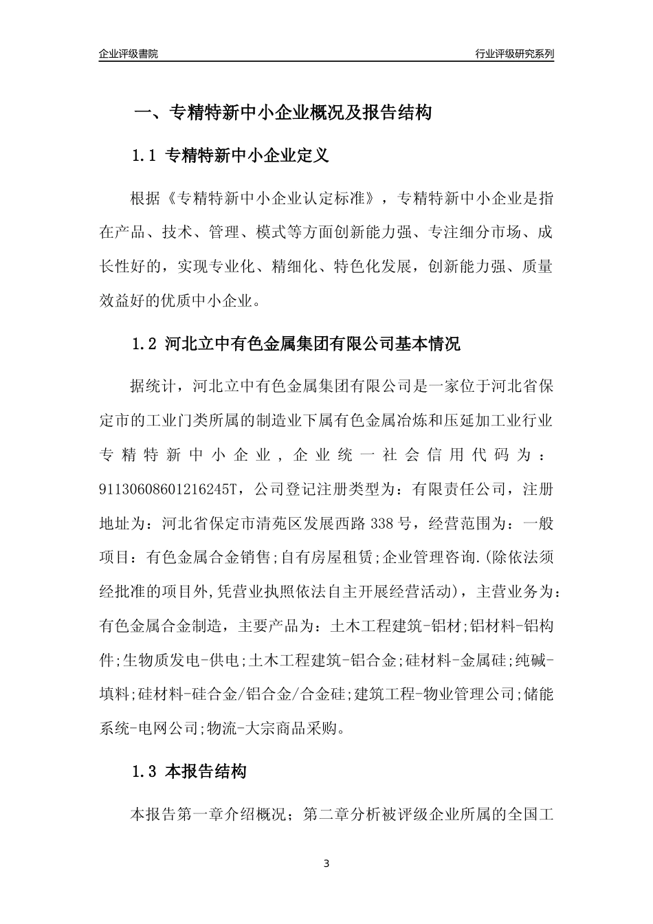 [专精特新]河北立中有色金属集团有限公司行业竞争力评级分析报告(2023版)_第3页
