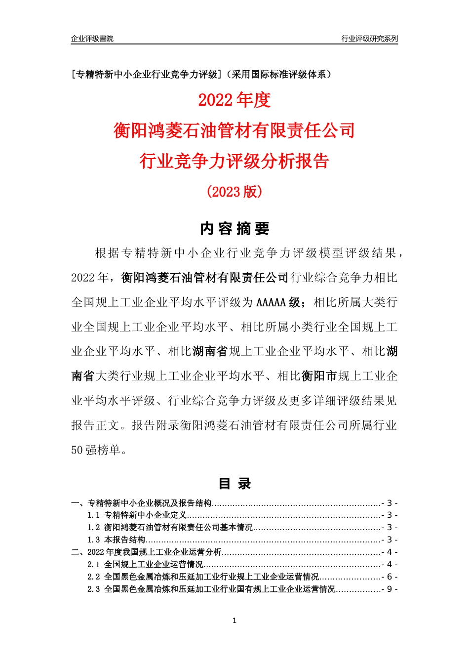 [专精特新]衡阳鸿菱石油管材有限责任公司行业竞争力评级分析报告(2023版)_第1页