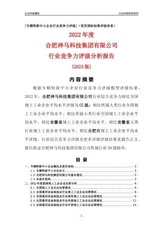 [专精特新]合肥神马科技集团有限公司行业竞争力评级分析报告(2023版)