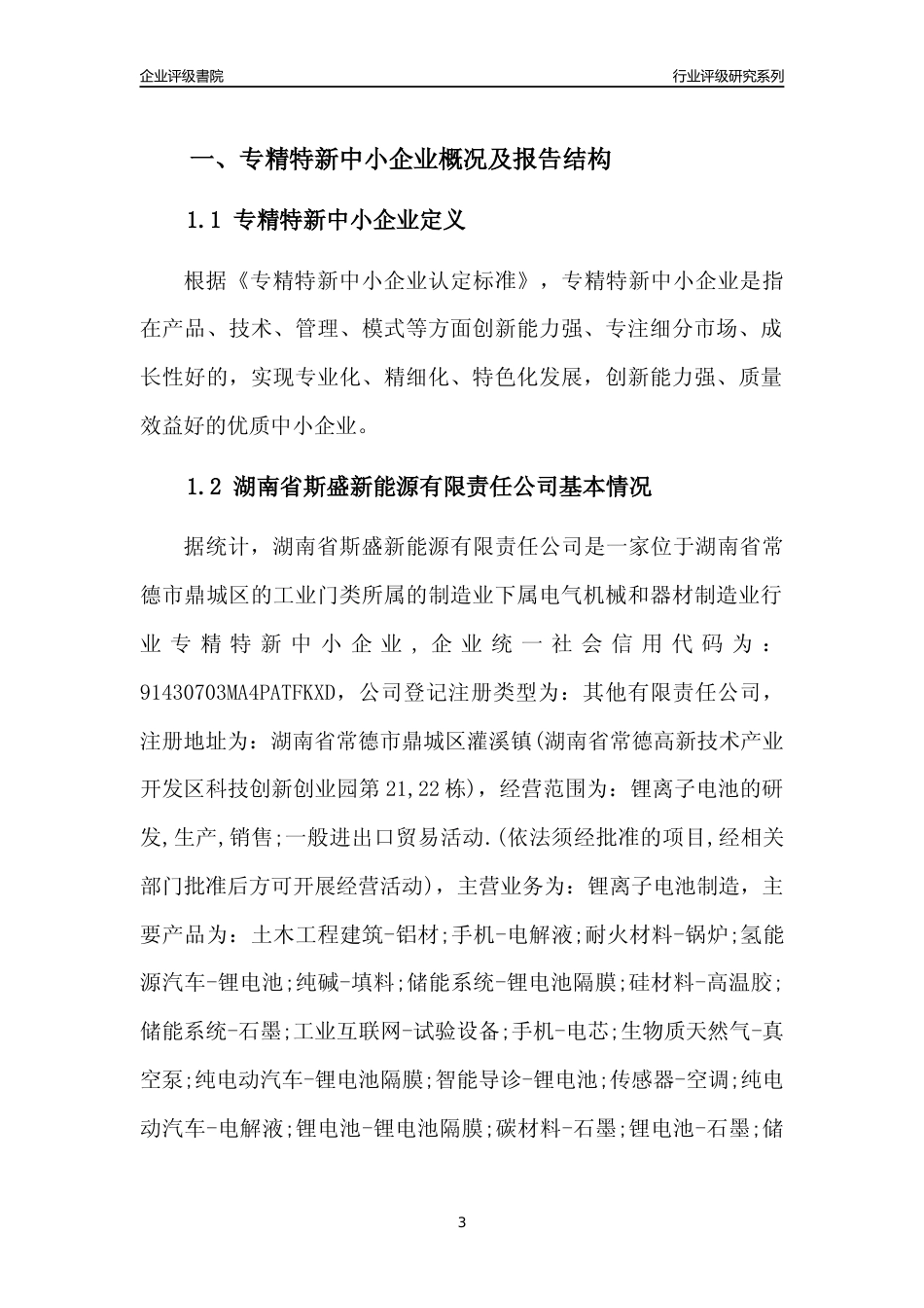 [专精特新]湖南省斯盛新能源有限责任公司行业竞争力评级分析报告(2023版)_第3页