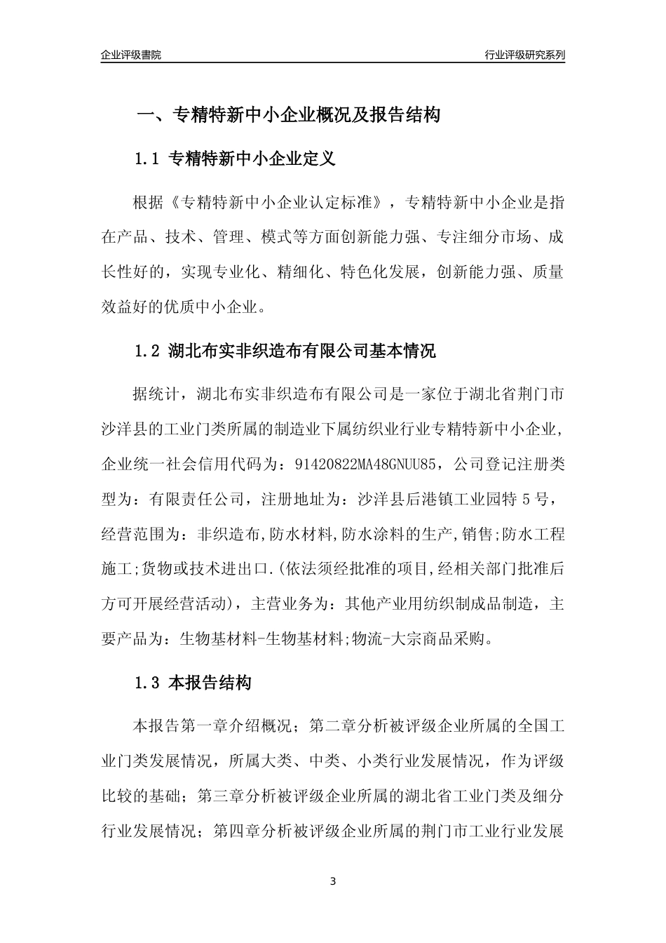 [专精特新]湖北布实非织造布有限公司行业竞争力评级分析报告(2023版)_第3页