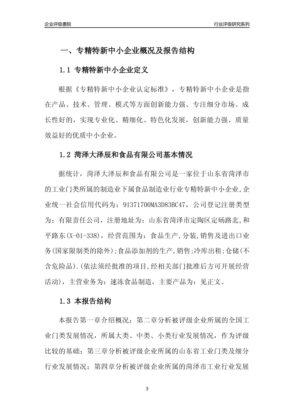 [专精特新]菏泽大泽辰和食品有限公司行业竞争力评级分析报告(2023版)_第3页