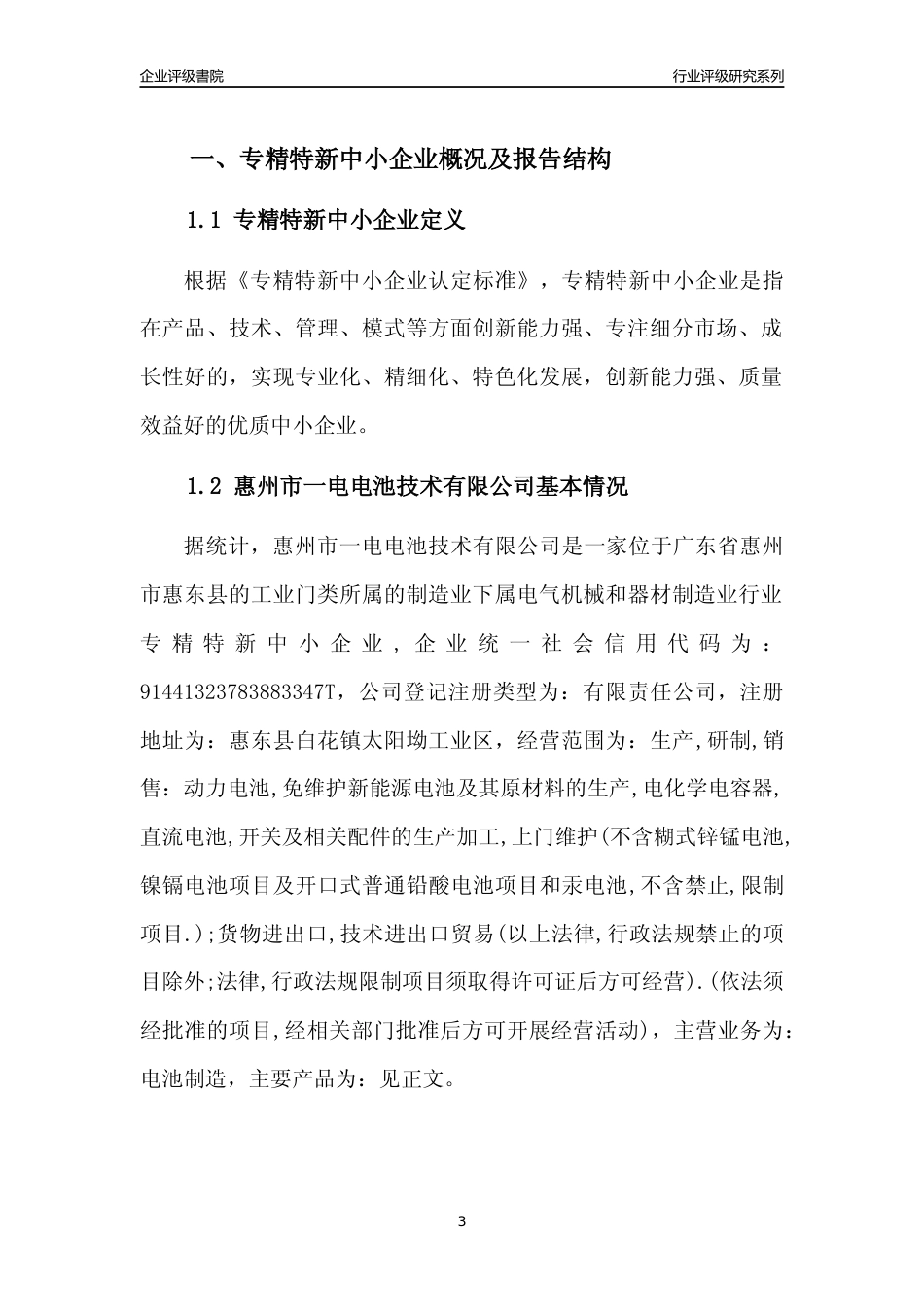 [专精特新]惠州市一电电池技术有限公司行业竞争力评级分析报告(2023版)_第3页