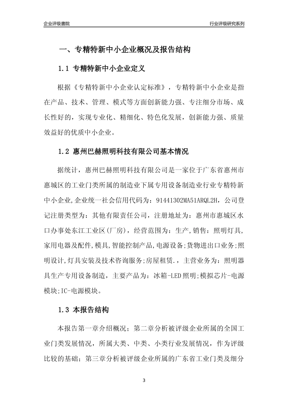 [专精特新]惠州巴赫照明科技有限公司行业竞争力评级分析报告(2023版)_第3页