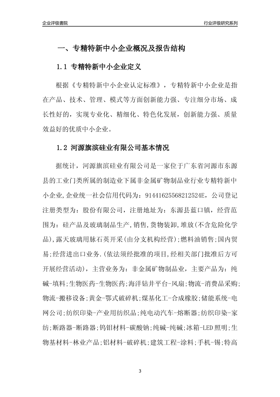[专精特新]河源旗滨硅业有限公司行业竞争力评级分析报告(2023版)_第3页