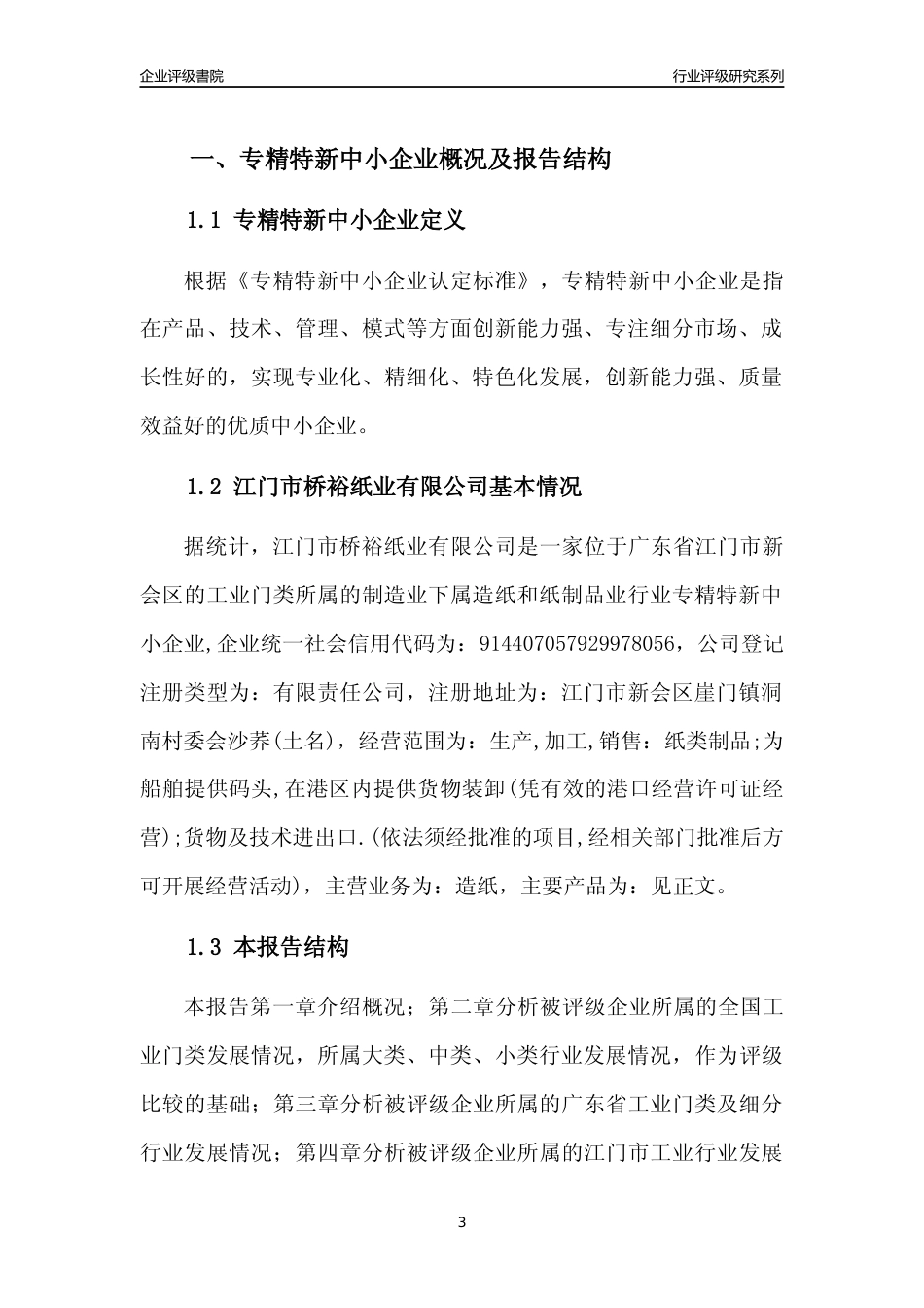 [专精特新]江门市桥裕纸业有限公司行业竞争力评级分析报告(2023版)_第3页