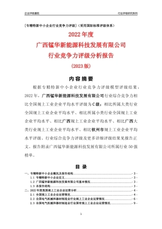 [专精特新]广西锰华新能源科技发展有限公司行业竞争力评级分析报告(2023版)