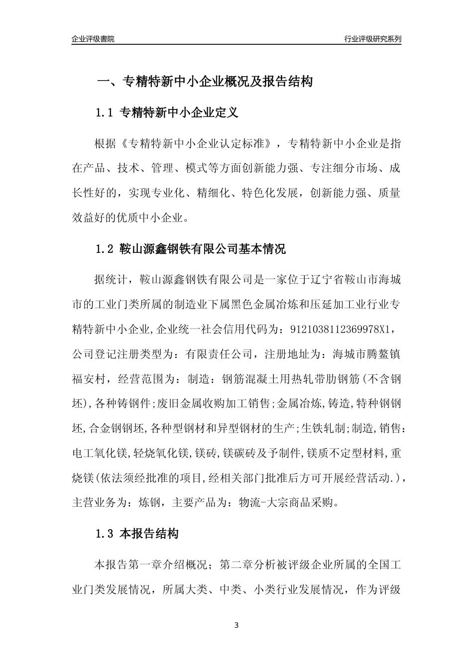 [专精特新]鞍山源鑫钢铁有限公司行业竞争力评级分析报告(2023版)_第3页