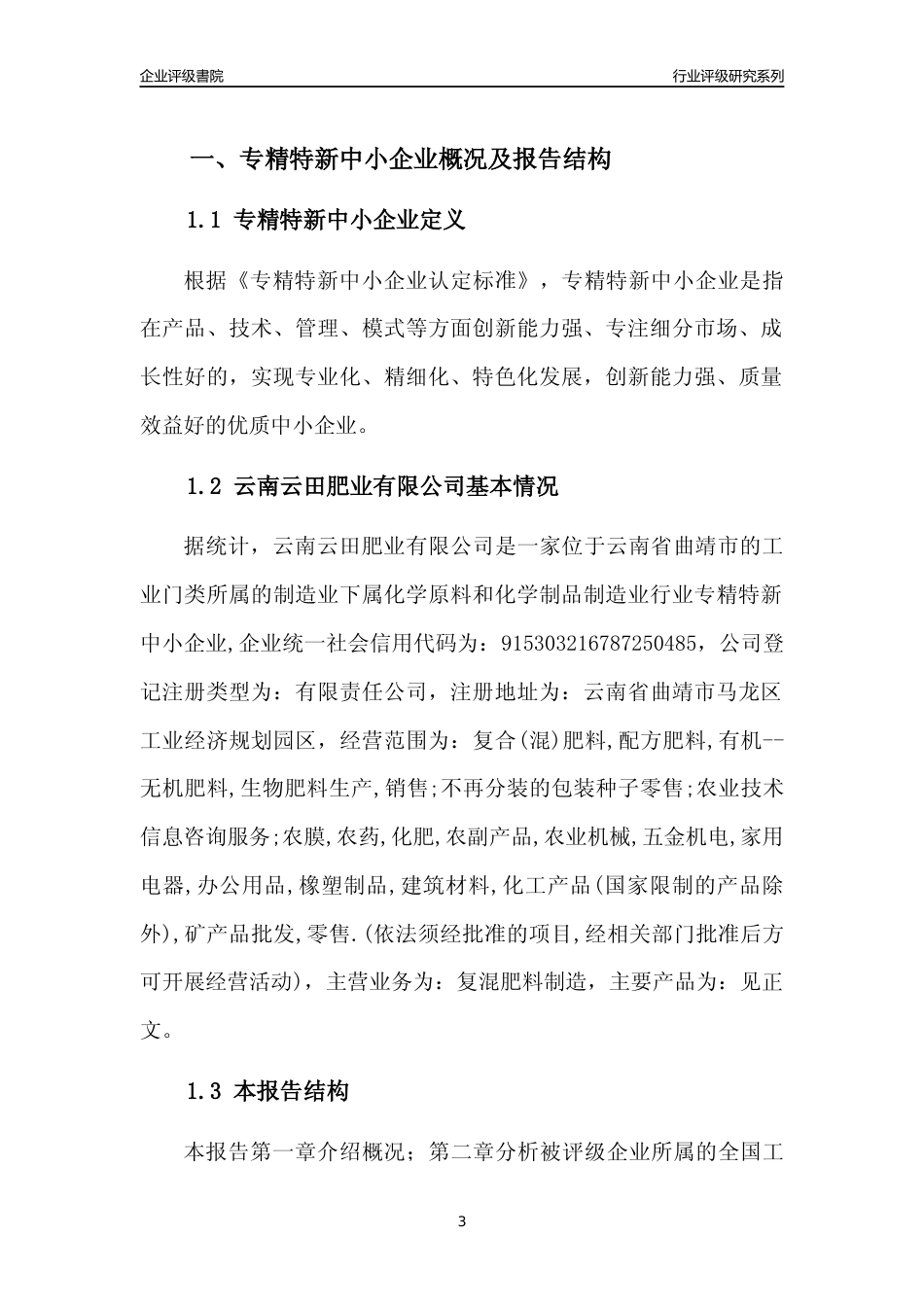 [专精特新]云南云田肥业有限公司行业竞争力评级分析报告(2023版)_第3页