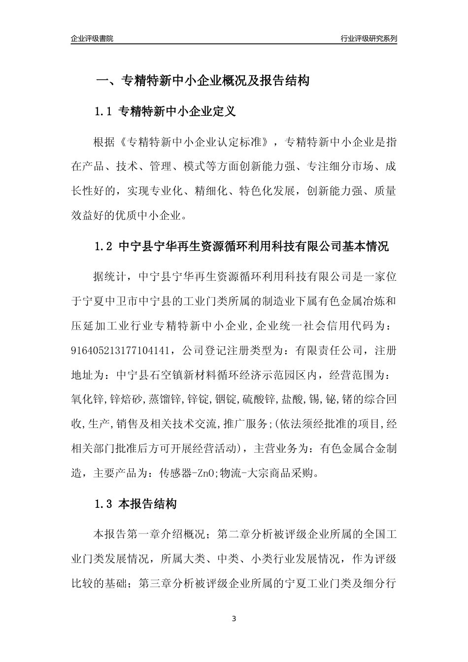 [专精特新]中宁县宁华再生资源循环利用科技有限公司行业竞争力评级分析报告(2023版)_第3页